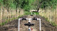 ÉTHIOPIE : l’israélien Water Ways fournira des systèmes modernes pour l’irrigation©Irri-Al-Tal