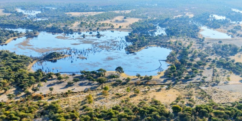 AFRICA: a partnership for wildlife conservation in the Okavango Basin©Vadim Petrakov /Shutterstock