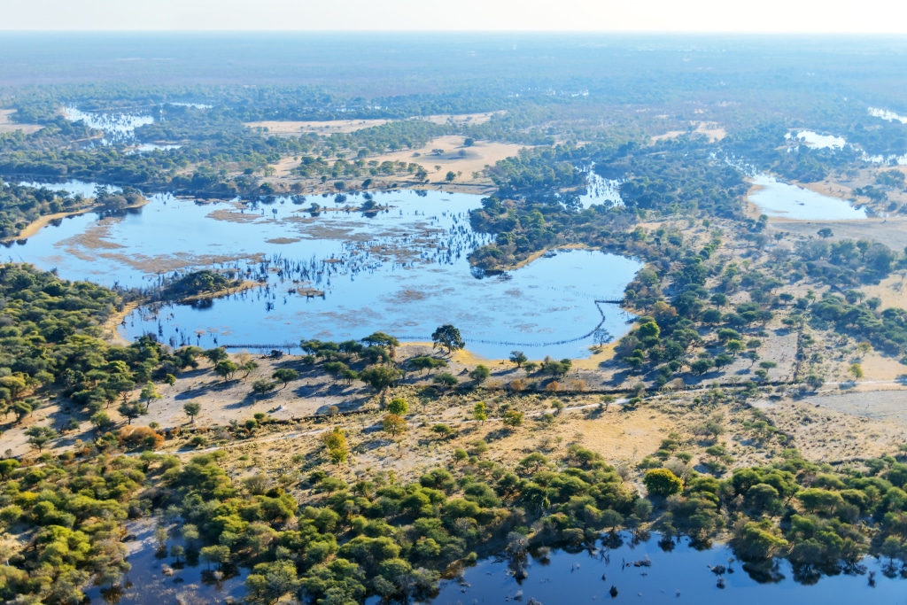 AFRICA: a partnership for wildlife conservation in the Okavango Basin©Vadim Petrakov /Shutterstock