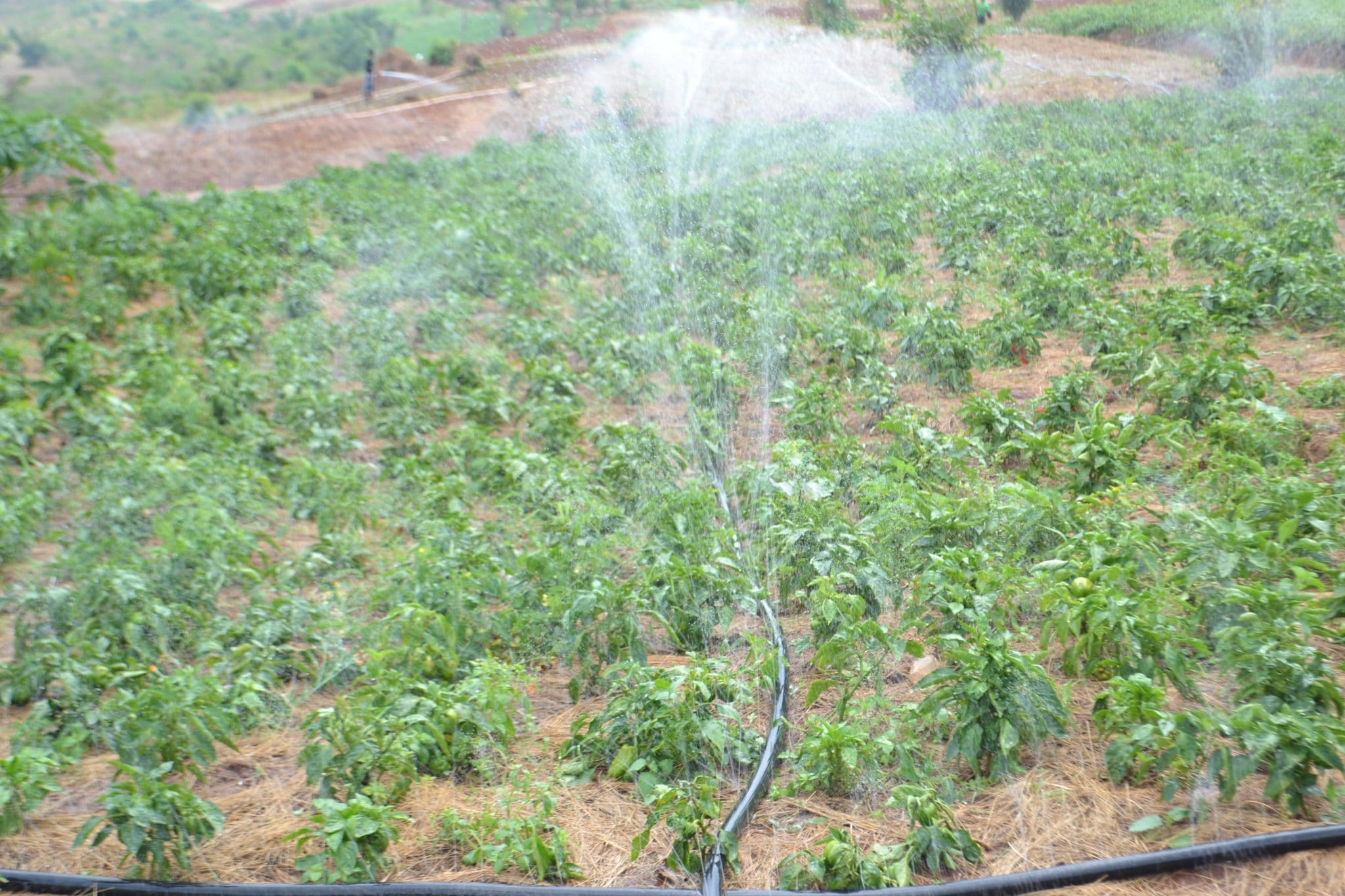 ZAMBIE : le moteur solaire de Saurea pompera l'eau pour l'irrigation  pendant 20 ans