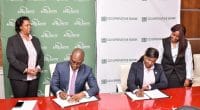 KENYA : Co-operative Bank obtient une garantie de 7,5M$ pour la finance verte des PME©AGF/Shutterstock