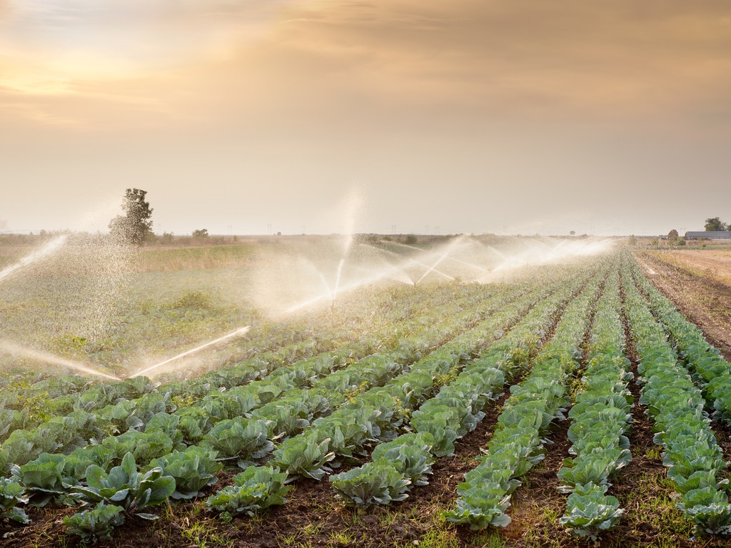 NIGERIA: FEC Releases Funds for Rima Valley Irrigation©Fotokostic/Shutterstock