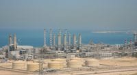 ALGERIA: The construction of the Corso seawater desalination plant is launched©Anton Villalon/Shutterstock