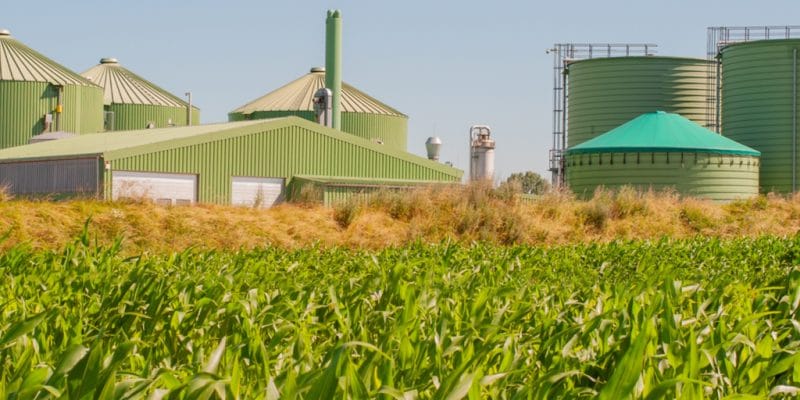 MAROC : Rabat veut augmenter la part de la biomasse dans son mix électrique©ShDrohnenFly/Shutterstock