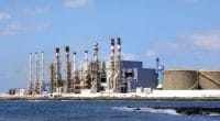 ALGÉRIE : l’usine de dessalement de l’eau de mer d’Ain Benian est opérationnelle©irabel8/Shutterstock