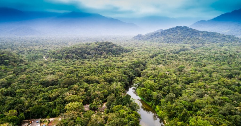 COMIFAC: Member States harmonize protected area management policies©Gustavo Frazao/Shutterstock