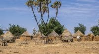 AFRICA: EDFI ElectriFI finances Amped's solar kits with a $6m facility© Torsten Pursche/Shutterstock