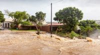 CAMEROON: concern over increased flooding©David-Steele/Shutterstock