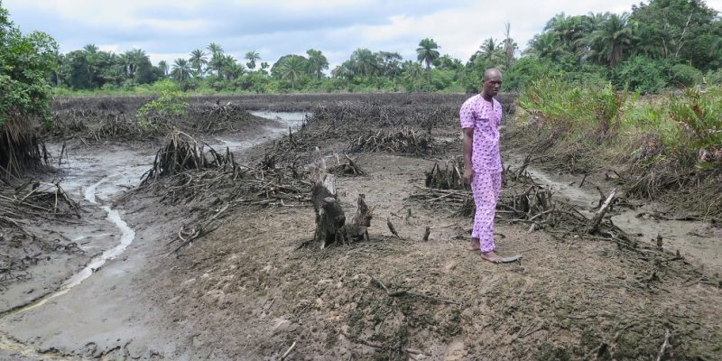 NIGERIA: A centre tracks oil pollution in the Niger Delta©Amnesty International Suisse