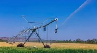 MALAWI: GBA partners with Maka Resources to provide irrigation systems©Maka Resources