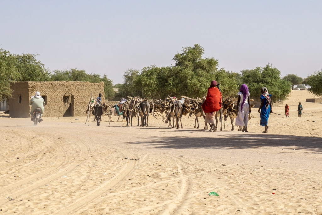 MALI : grâce à Enabel, Vergnet et Seeba fournissent de l’eau à Koulikoro ©Jen Watson/Shutterstock