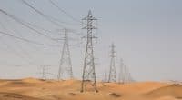 ÉGYPTE : des échanges d’énergies renouvelables avec l’Arabie Saoudite dès 2024 ©SeraphP/Shutterstock
