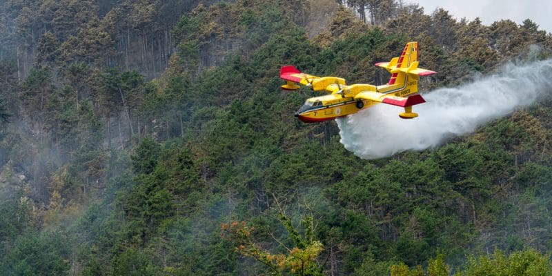 MAROC : Rabat renforce sa flotte de Canadair pour lutter contre les feux de forêt©Arcansel/Shutterstock