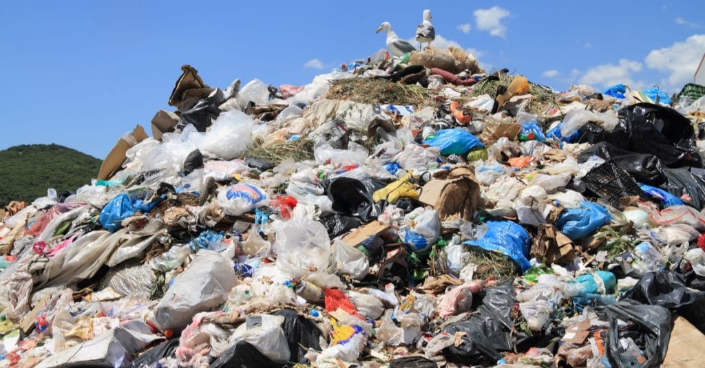 CAMEROON: when corruption sabotages the ban on plastic packaging ©kanvag/Shutterstock