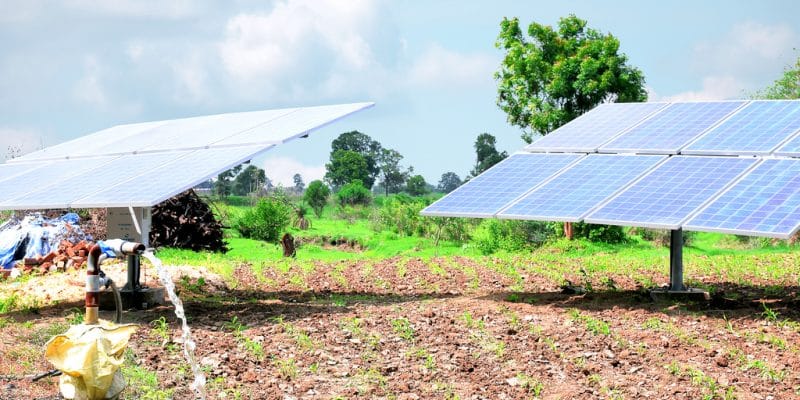 OUGANDA : Nexus Green installera des systèmes d’irrigation solaire sur 687 sites©Abhi photo studio/Shutterstock
