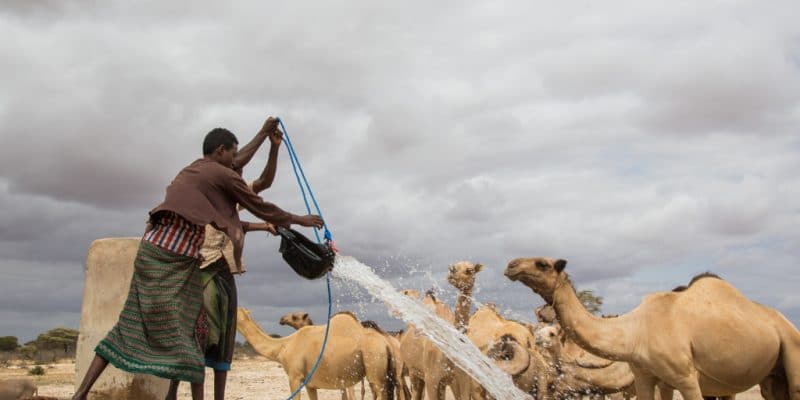SOMALIE : une nouvelle stratégie pour améliorer la gestion des ressources en eau©Faid Elgziry/Shutterstock