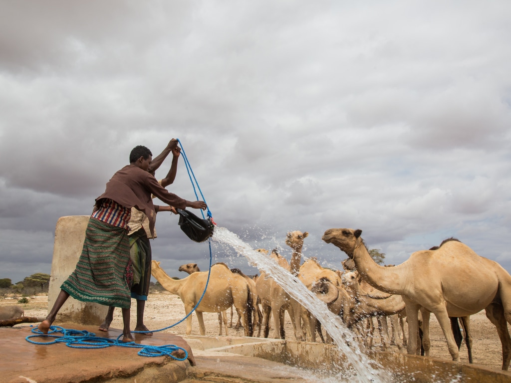 SOMALIE : une nouvelle stratégie pour améliorer la gestion des ressources en eau©Faid Elgziry/Shutterstock