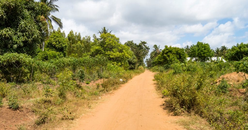 BURKINA FASO: AIMF supports the rehabilitation of Ouagadougou's green belt©Philou1000/Shutterstock