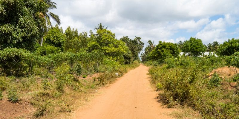 BURKINA FASO: AIMF supports the rehabilitation of Ouagadougou's green belt©Philou1000/Shutterstock