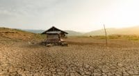 AFRIQUE : le réchauffement climatique menace plus de 100 millions de personnes©Piyaset/Shutterstock