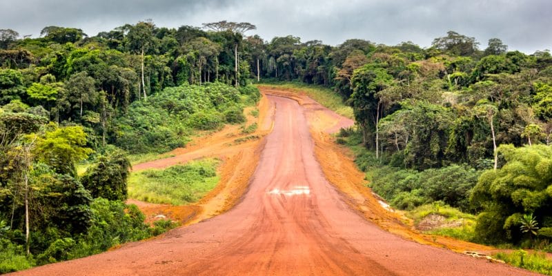 COP26: Central Africa gets $2bn for REDD+ initiatives©Philou1000/Shutterstock