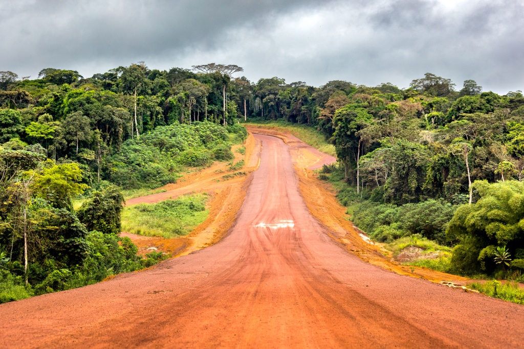 COP26 : l’Afrique centrale obtient 2 Mds$ pour des initiatives REDD+©Philou1000/Shutterstock