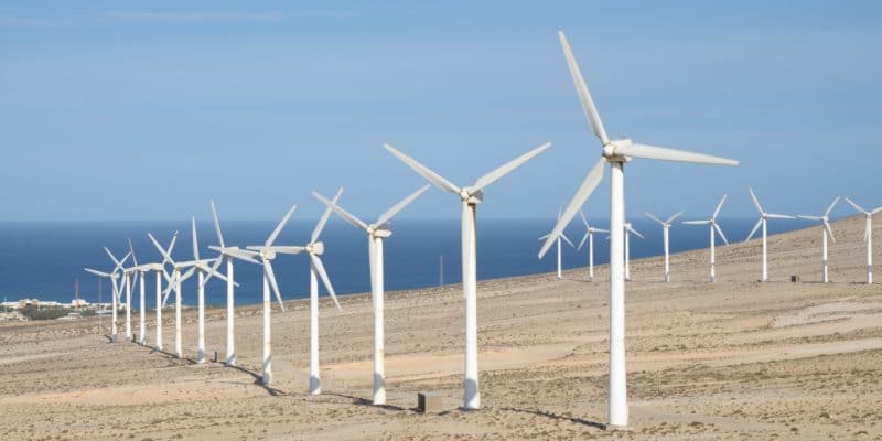 NAMIBIA: NamPower launches a tender for its Rosh Pinah wind farm (40 MW)