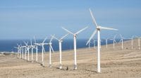 NAMIBIE : NamPower lance un appel d’offres pour son parc éolien de Rosh Pinah (40 MW)
