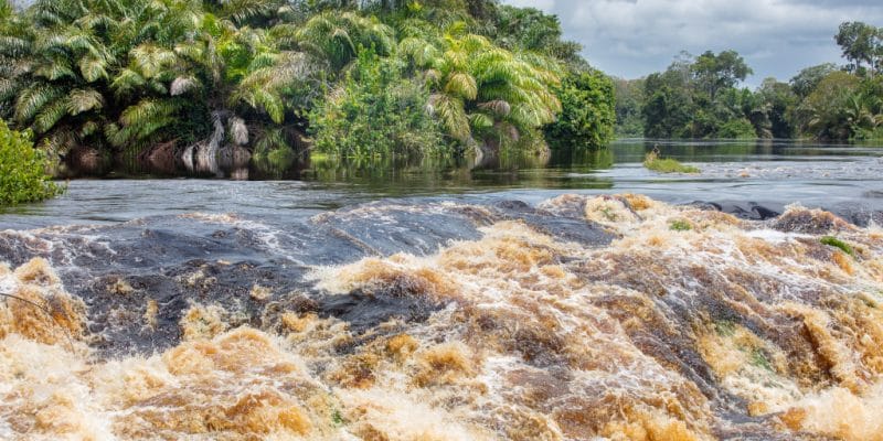 GABON: Eranove and FGIS to raise €300m for the Ngoulmendjim hydroelectric project© Oleg Puchkov/Shutterstock