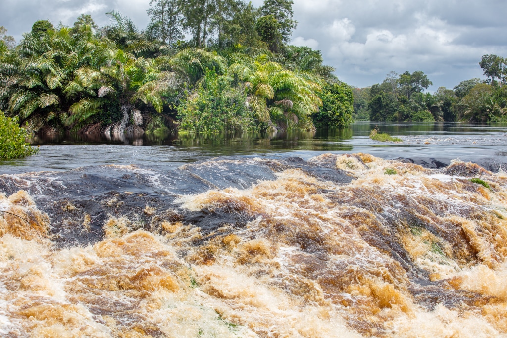 GABON: Eranove and FGIS to raise €300m for the Ngoulmendjim hydroelectric project© Oleg Puchkov/Shutterstock