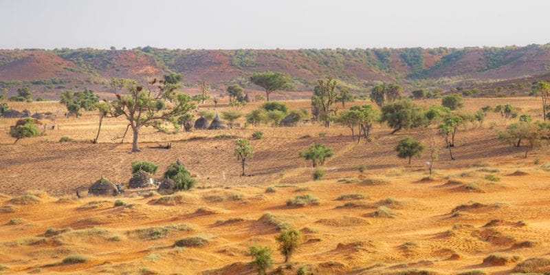 SAHEL: CVF and IFAD pledge $143m for the Great Green Wall © mbrand85/Shutterstock