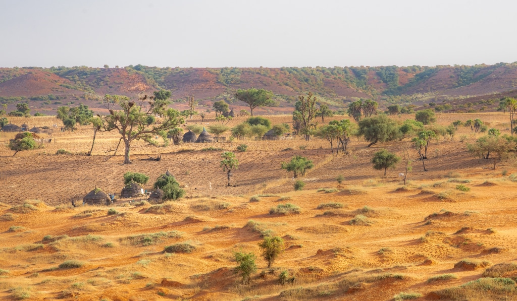 SAHEL: CVF and IFAD pledge $143m for the Great Green Wall © mbrand85/Shutterstock