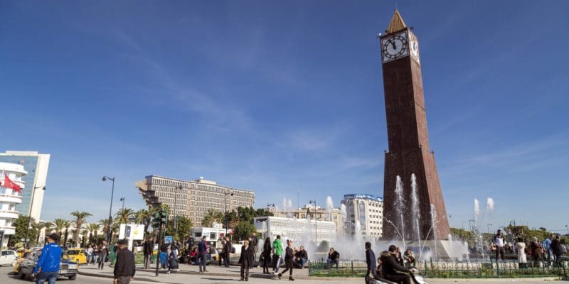 TUNISIE : Green4Youth lance son 3e appel à projets pour l’économie verte © Color Maker de Shutterstock