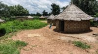 COP26 : Husk déploiera 5 000 mini-grids propres en Afrique subsaharienne d’ici à 2030 ©Benschroeder/ Shutterstock