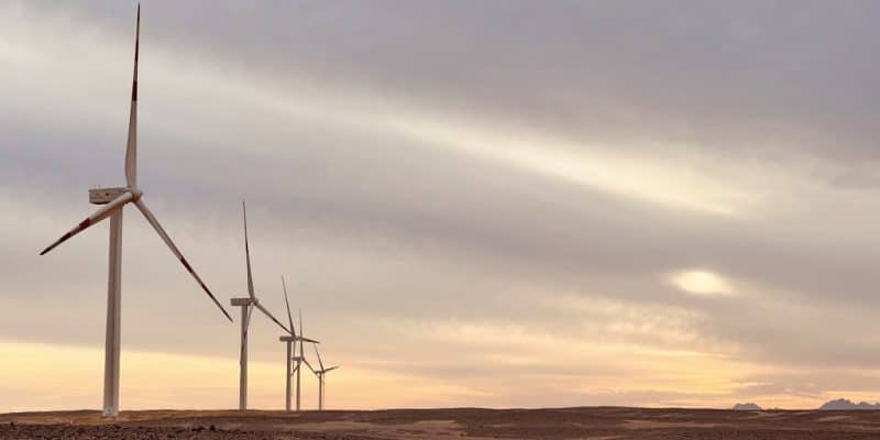 ÉGYPTE : le parc éolien de West Bakr entre en service après près de 2 ans de travaux ©Lekela Power