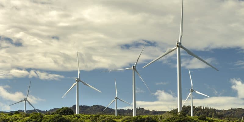 SOUTH AFRICA: 25 new green energy projects launched under REIPPP ©Leigh Anne Meeks/Shutterstock