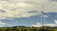 AFRIQUE DU SUD : 25 nouveaux projets d’énergies vertes lancés dans le cadre du REIPPP ©Leigh Anne Meeks/Shutterstock