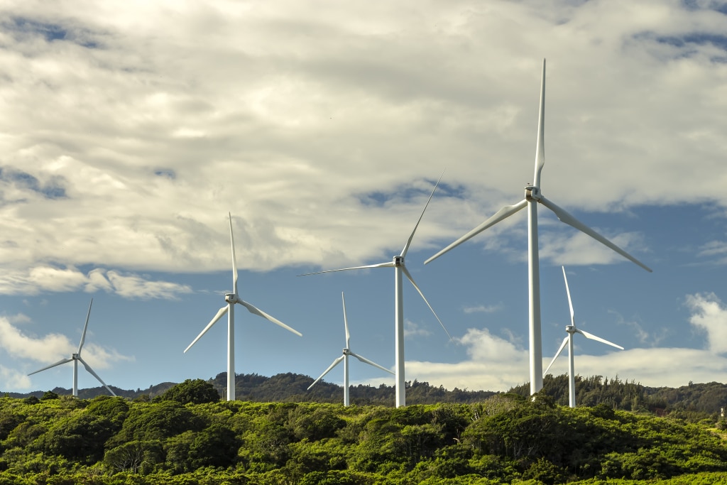 AFRIQUE DU SUD : 25 nouveaux projets d’énergies vertes lancés dans le cadre du REIPPP ©Leigh Anne Meeks/Shutterstock