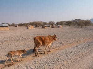 AFRICA: when climate change defies all predictions Inès Magoum©Dietmar Rauscher/Shutterstock