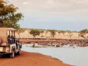 AFRIQUE : la résilience climatique, planche de salut de l’agriculture et du tourisme©PixHound/Shutterstock