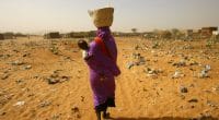MADAGASCAR: la sécheresse affame plus d’un million de personnes dans le sud du pays©kursat-bayhan/Shutterstock