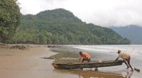 CAMEROUN : un premier parc marin pour limiter les ravages de la pêche industrielle©Cesar J. Pollo/Shutterstock