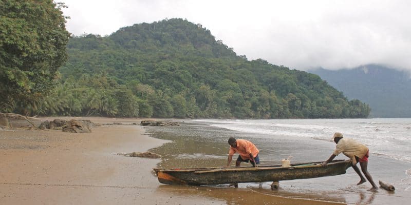 CAMEROUN : un premier parc marin pour limiter les ravages de la pêche industrielle©Cesar J. Pollo/Shutterstock
