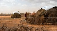 AFRIQUE: Cacci, pour soutenir les efforts d’adaptation au changement climatique ©Stanley Dullea/Shutterstock