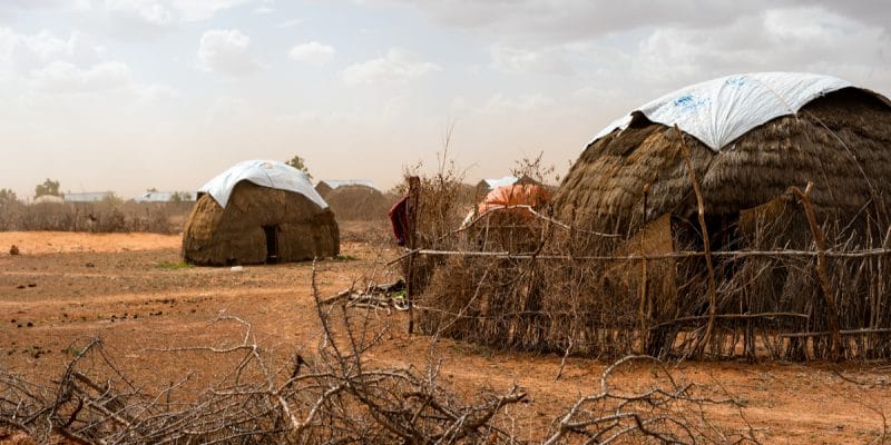 AFRIQUE: Cacci, pour soutenir les efforts d’adaptation au changement climatique ©Stanley Dullea/Shutterstock