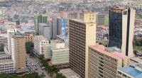 AFRIQUE : banques de développement et finance climatique, quel engagement ?©Stanley Dullea/Shutterstock