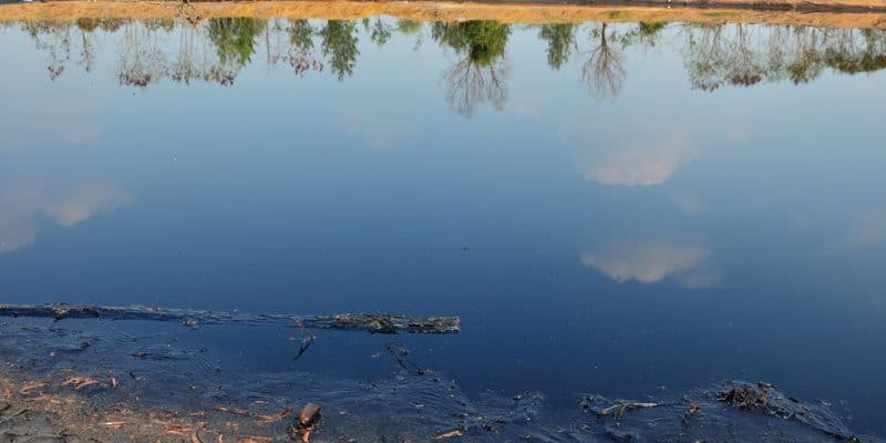 ÉGYPTE : réutiliser les eaux usées traitées pour l’agriculture dans le Delta Nil©Anirut Thailand/Shutterstock