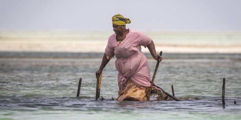 AFRICA: Ottawa allocates $8 million to reduce the impact of climate on women©SanderMeertinsPhotography/Shutterstock