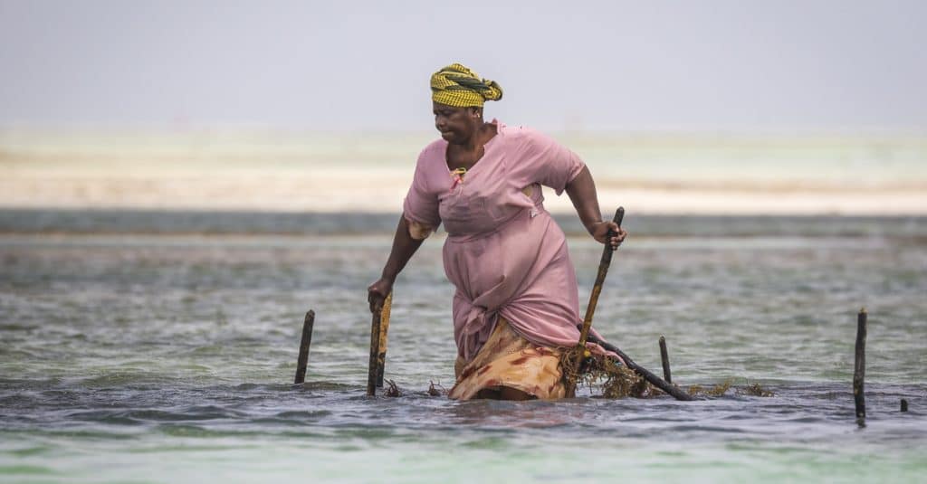 AFRIQUE : Ottawa alloue 8 M$ pour réduire l’incidence du climat sur les femmes©SanderMeertinsPhotography/Shutterstock