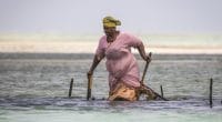 AFRIQUE : Ottawa alloue 8 M$ pour réduire l’incidence du climat sur les femmes©SanderMeertinsPhotography/Shutterstock